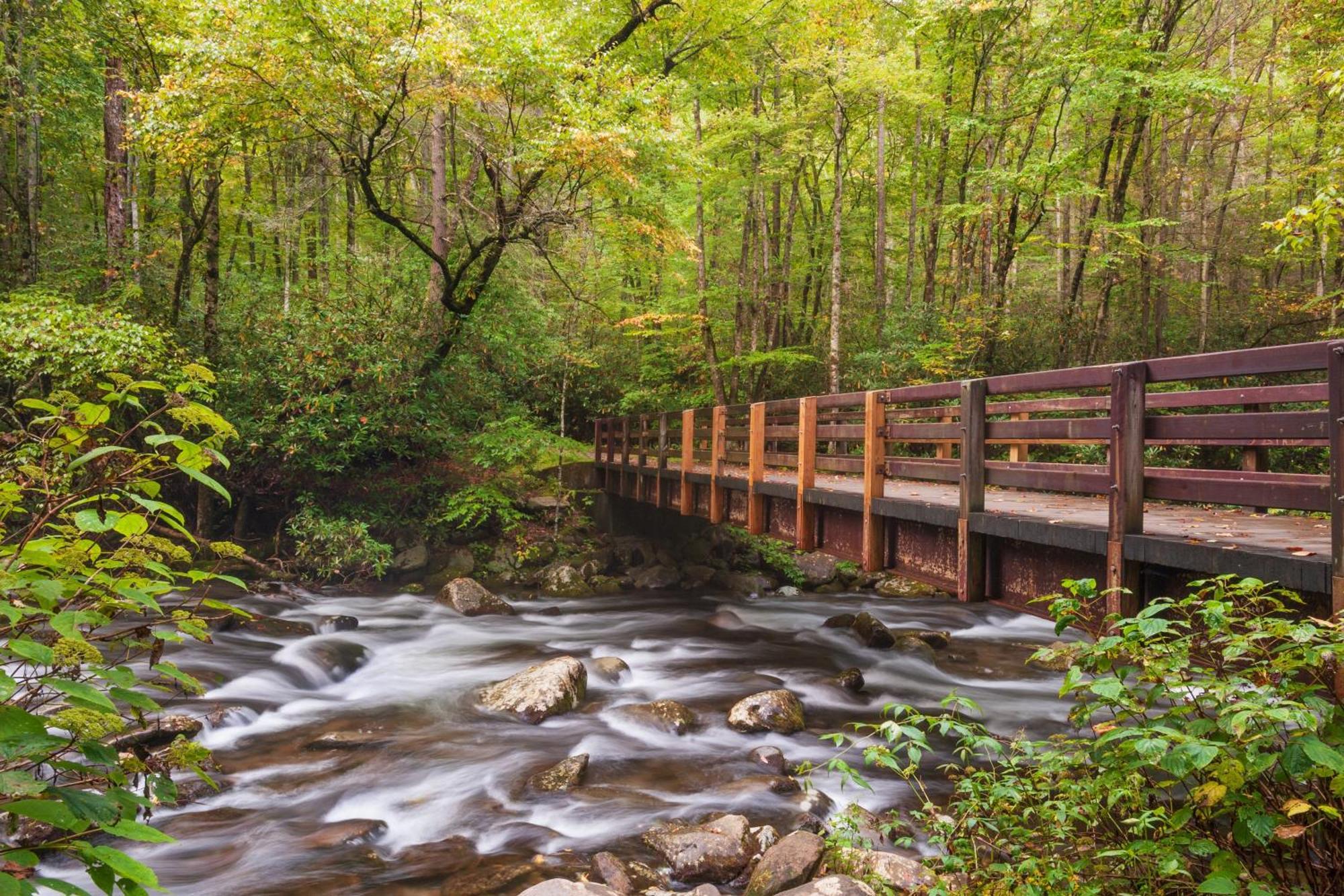 Rest Assured, Wifi, 1089 Free Tickets Each Paid Day, Dollywood And More Pigeon Forge Ngoại thất bức ảnh