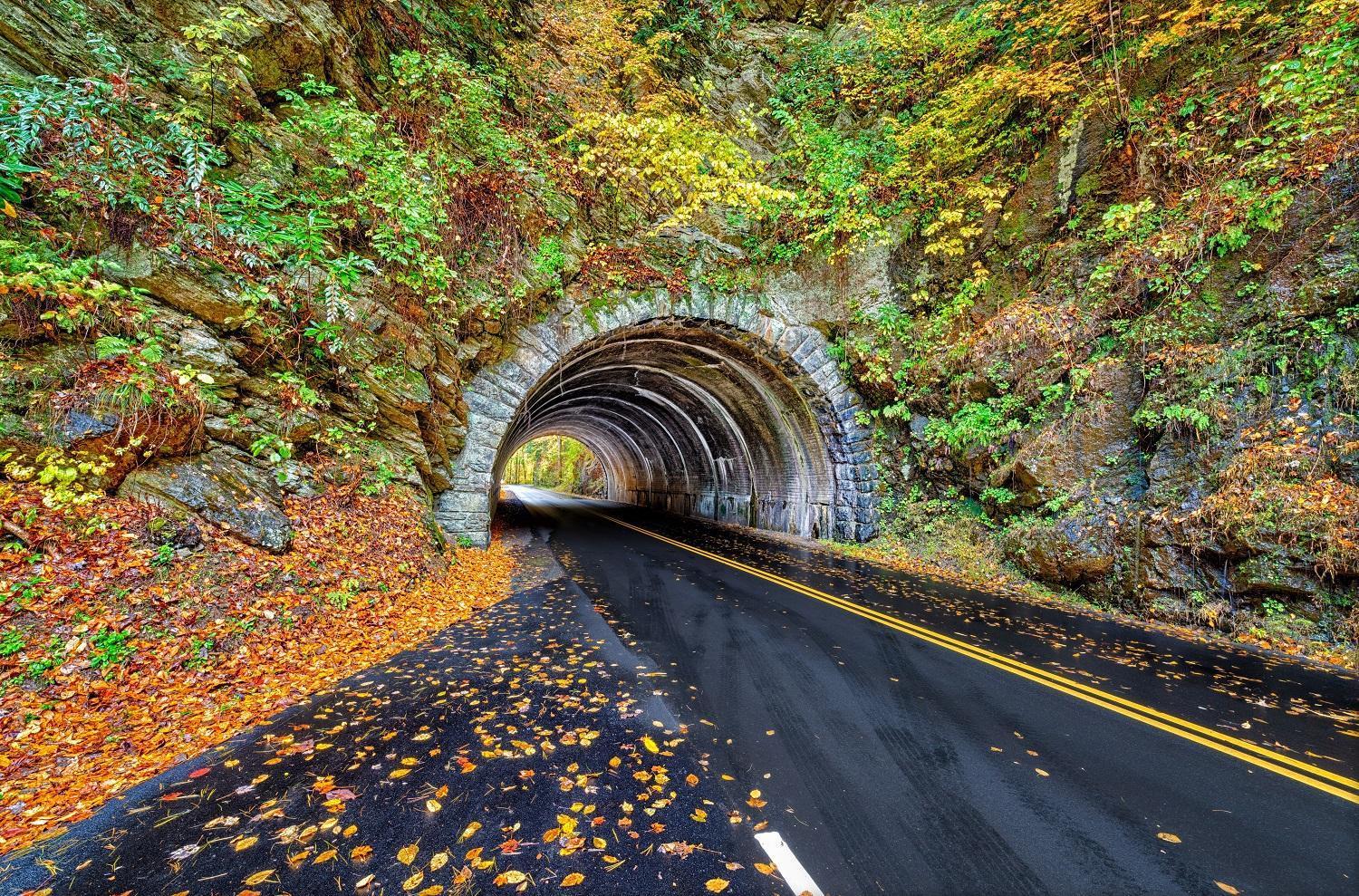 Rest Assured, Wifi, 1089 Free Tickets Each Paid Day, Dollywood And More Pigeon Forge Ngoại thất bức ảnh